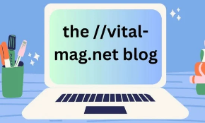 https://newscrunch.co.uk/the-vital-mag-net-blog/